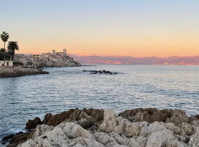 Apartment Cozy On The Antibes
